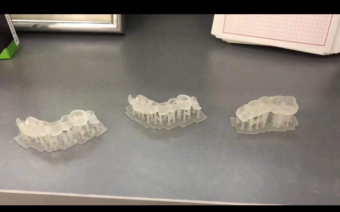 Guía de plantación de impresor - 3D Printing Guide reseña y precio