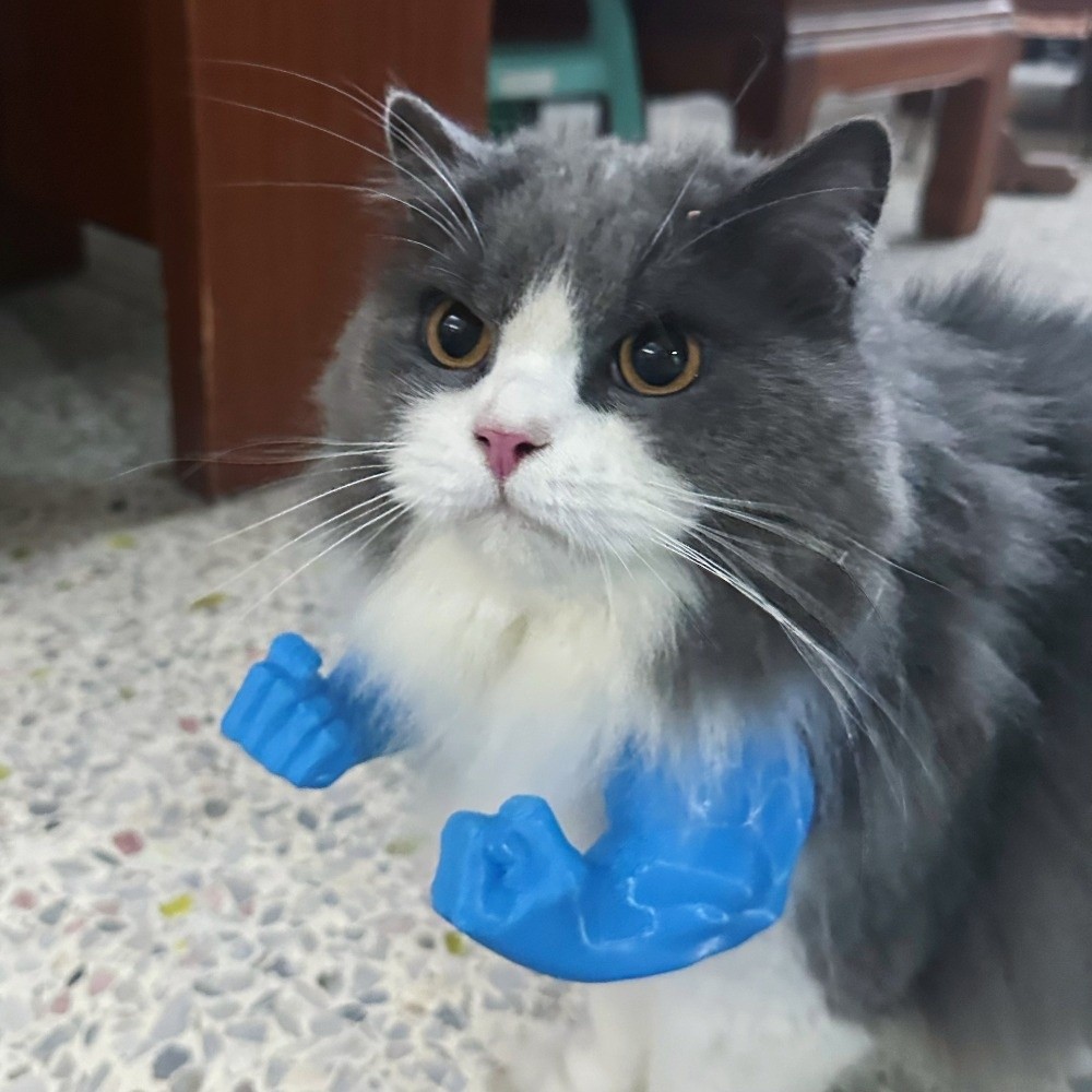 Disfraz de gato con brazo de H - 3D Printing Nylon reseña y precio