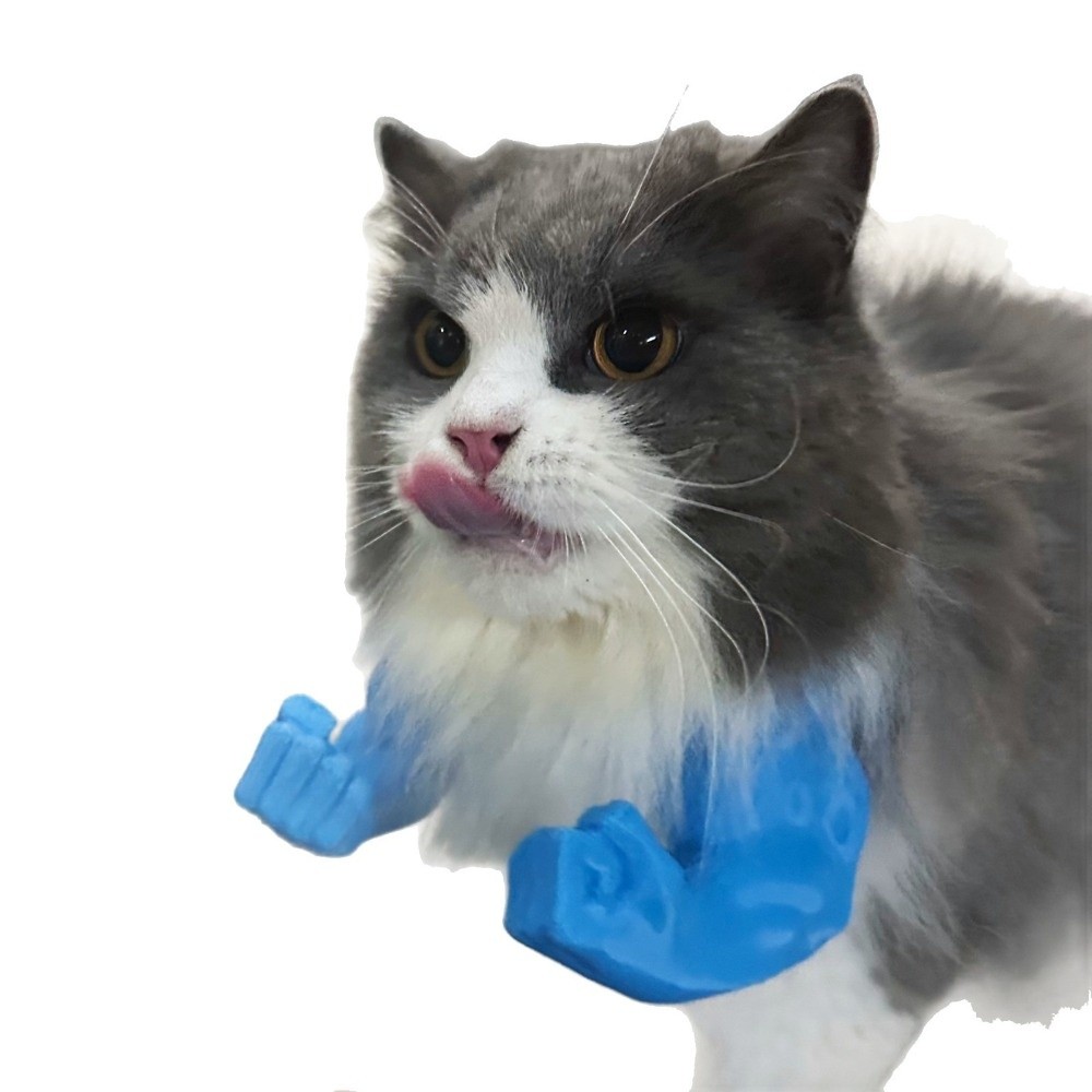 Disfraz de gato con brazo de H - 3D Printing Nylon reseña y precio