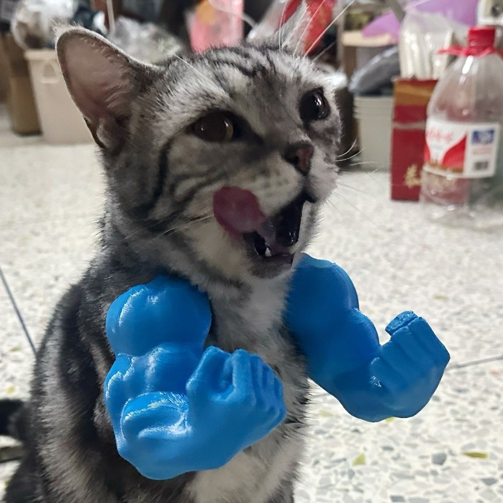 Disfraz de gato con brazo de H - 3D Printing Nylon reseña y precio